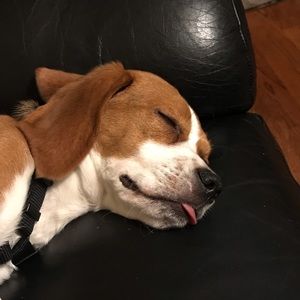 Meet your Posher, Julie